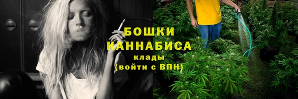 мескалин Мегион